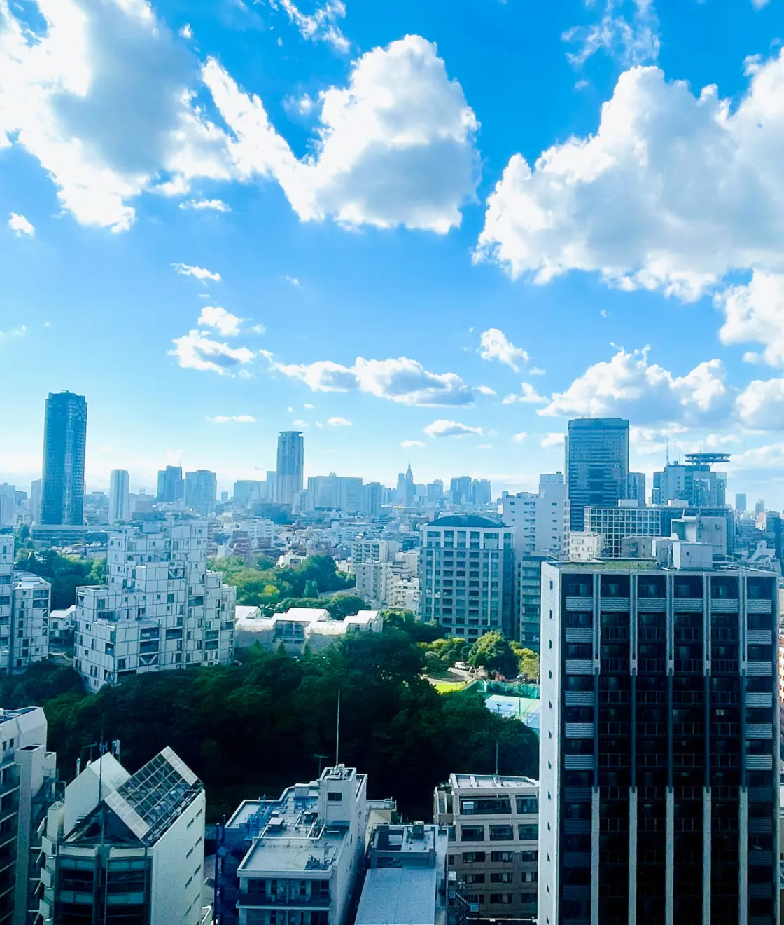 未来のネットワーク社会をデザインし社会に貢献する企業へ